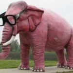 elephang_wearing_glasses